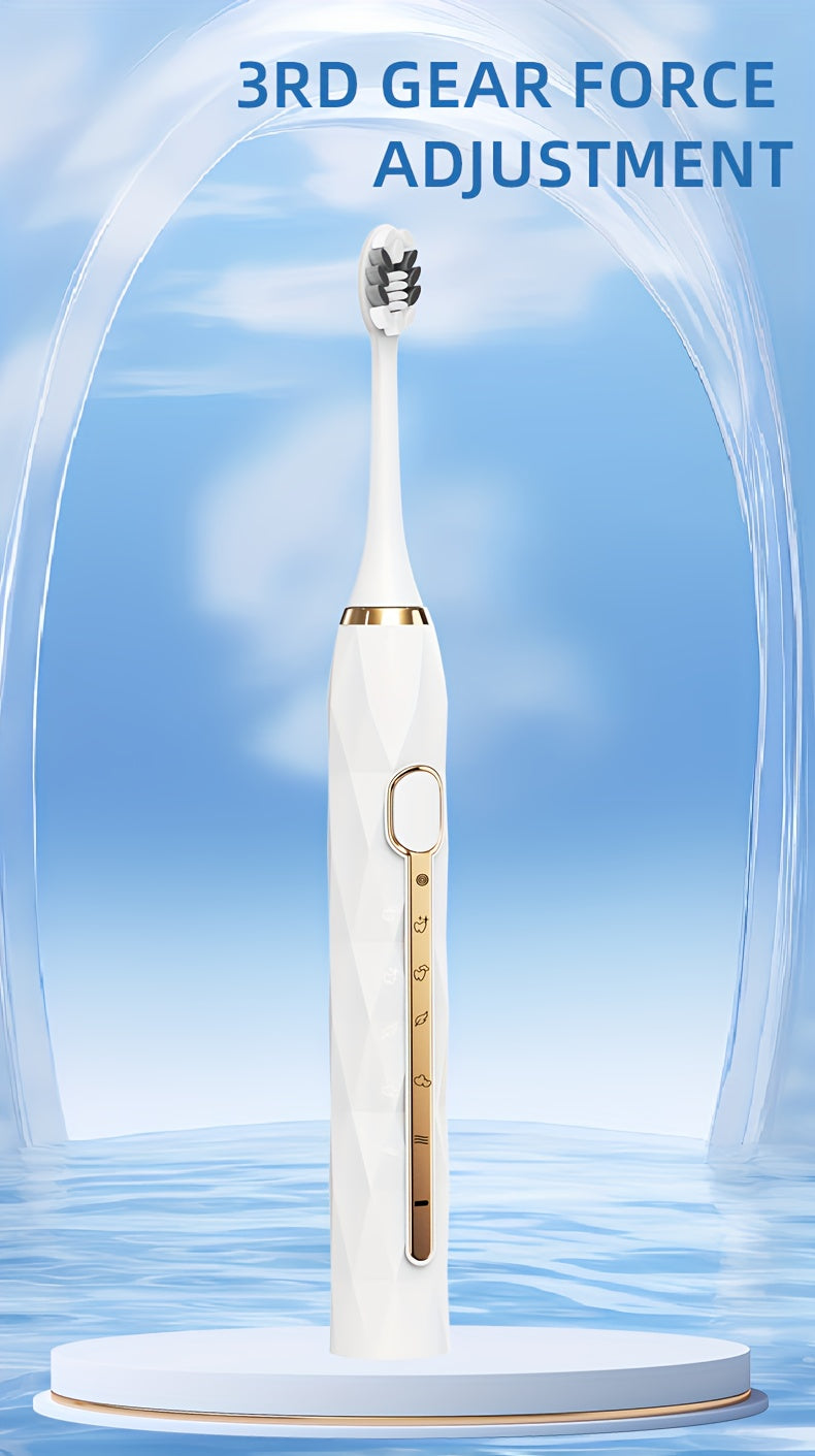 Acoustic Electric Toothbrush USB Rechargeable